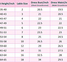 Bow Dream Little Girls Vintage Floral Swing Dresses 0 0